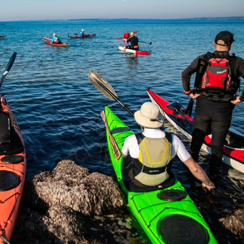 Rundt om Langeland i Havkajak – ROL 2026